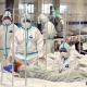 Өлкө боюнча коронавирус илдетинен дарыланып жаткан бейтаптардын 95и өтө оор абалда