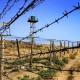 УКМК Чоң-Алайдагы чек ара чыры боюнча айткан депутатка жооп берди