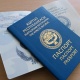 Баткенде чек ара окуяларында жабыркаган 136 тургундун документтери даярдалды
