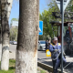 "Бишкек жашыл чарба" ишканасы: "ИИМдин алдында кыйылып жаткан бактар катуу шамал болсо кулап калмак"