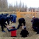 Өлкөдө катталган өлүмдүн көпчүлүгүнө кайсы оорулар себеп болот? Статистика