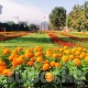 17-июнга карата аба ырайы тууралуу маалымат