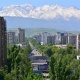 Мэрия: "Бишкекте бак-дарактарга чачылып жаткан аралашманын адамдарга эч кандай зыяны жок"