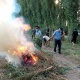 Жалал-Абадда 12 тоннадай кара куурай өрттөлдү