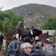 Аксыда селден каза болгон 6 адам акыркы сапарга узатылды (сүрөт)