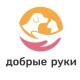 Өлкөдө жаныбарларды коргоо фонддору жалаа жабуулардан улам ишмердүүлүгүн токтотууга аргасыз болушкандыгын жарыялашты