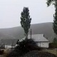 "Кычыраган кыш келгендей". Алайкуу өрөөнүнө кар жаады (видео)