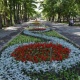 Көөдөнүң көркөмдүктү эңсегенде... Бишкектеги көз жоосун алган гүлзарлар (сүрөт)
