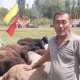 "Кезек Ошто". "Баткенде алгачкы жолу өтүп жаткан кой көргөзмөсүн жергиликтүү эл уюштурду" дейт тургун