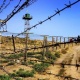 Ооганстан: Кыргыз өлкөсүнүн Тажикстан жана Өзбекстан менен болгон чек арасына убактылуу заставалар орнотулду