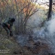 Нарындагы тоодо куураган чөп жана бадалдар күйдү