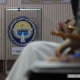 Бир мандаттуу округдан талапкерлигин көрсөткөндөрдүн саны 30дан ашты