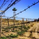 Миграциялык канал уюштурганга шектелип эки Кыргыз жараны кармалды