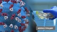 Өлкөдө соңку аптада 10 адам коронавирус илдетин жуктуруп алды