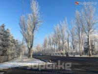 Аптанын дүйшөмбү күнүнө карата аба ырайы