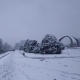 Бишкек шаардык мэриясы унааларды бак-дарактардын жанына калтырбоого чакырды