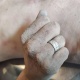 Ысык-Көлдө каза болгон жарандын аты-жөнүн аныктоого милиция кызматкерлери жардам сурайт