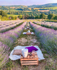 Кээ бир аймакта +39. Эртеңкиге карата аба ырайы