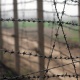 24 Kyrgyz killed in Tajik aggression at the border