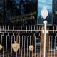 ИИМ жарандарды такталбаган маалыматтарды таратпоого чакырат