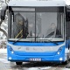 Эмне үчүн атамекендик "Белестин" эмес, Кытайдын автобустары сатылып алынды? Президенттин басма сөз катчысы жооп берди