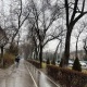Жекшембиге карата аба ырайы тууралуу маалымат